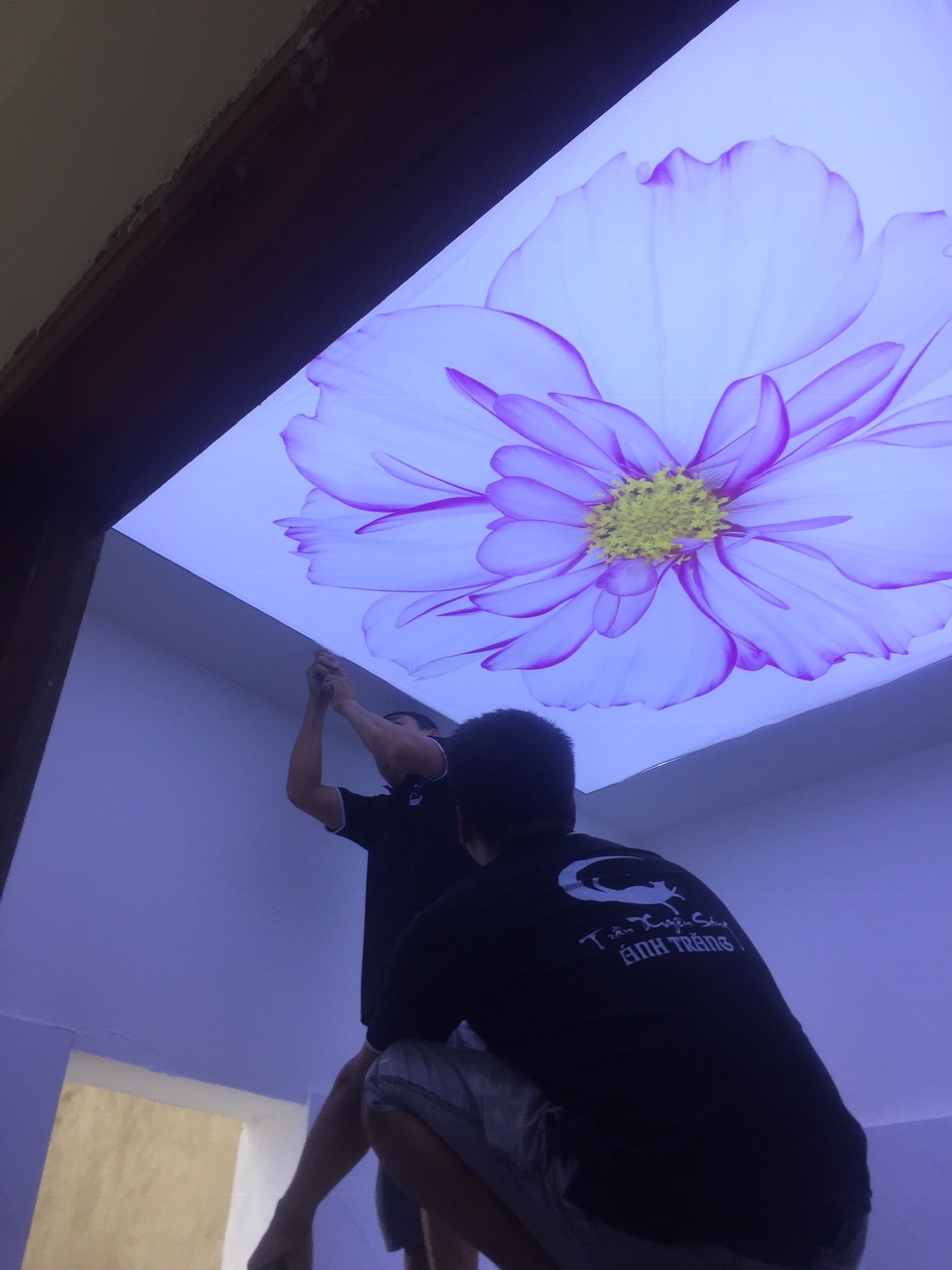 trần phẳng xuyên sáng